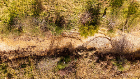 Prime Hunting Land | 240 Acres + Cabin | Missouri Ozarks - image 21