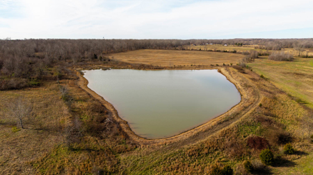 Prime Hunting Land | 240 Acres + Cabin | Missouri Ozarks - image 9