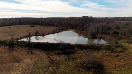 Prime Hunting Land | 240 Acres + Cabin | Missouri Ozarks - image 10