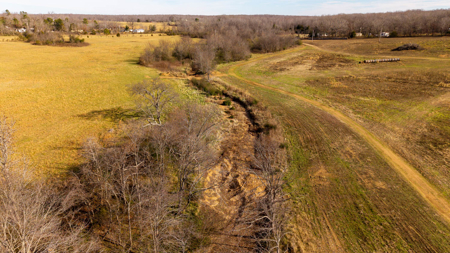 Prime Hunting Land | 240 Acres + Cabin | Missouri Ozarks - image 22