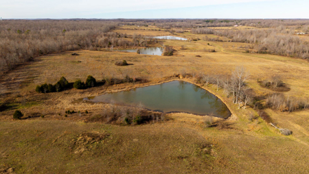 Prime Hunting Land | 240 Acres + Cabin | Missouri Ozarks - image 7