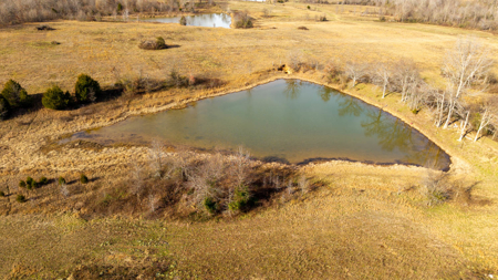 Prime Hunting Land | 240 Acres + Cabin | Missouri Ozarks - image 6