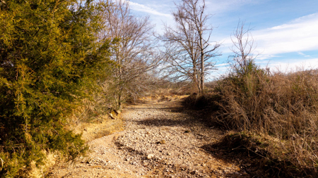 Prime Hunting Land | 240 Acres + Cabin | Missouri Ozarks - image 24