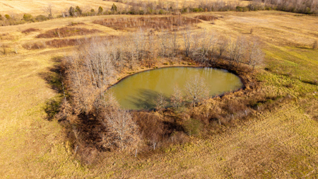 Prime Hunting Land | 240 Acres + Cabin | Missouri Ozarks - image 13