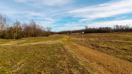 Prime Hunting Land | 240 Acres + Cabin | Missouri Ozarks - image 17