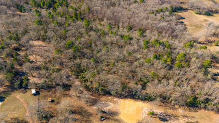 20+ Acres NE Texas Franklin County Scroggins + Water & Electric - image 23