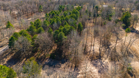 20+ Acres NE Texas Franklin County Scroggins + Water & Electric - image 20