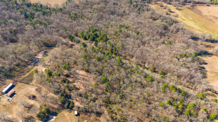 20+ Acres NE Texas Franklin County Scroggins + Water & Electric - image 22