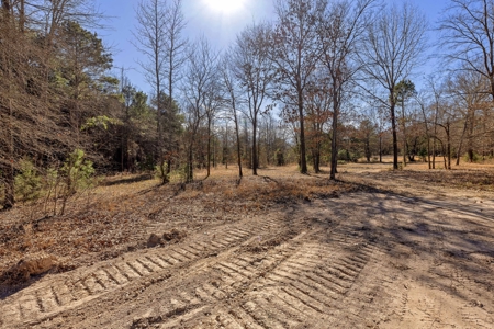 20+ Acres NE Texas Franklin County Scroggins + Water & Electric - image 5