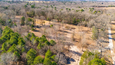 20+ Acres NE Texas Franklin County Scroggins + Water & Electric - image 13