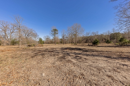 20+ Acres NE Texas Franklin County Scroggins + Water & Electric - image 9
