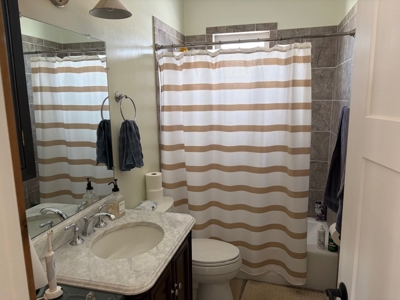 Town Core Property with ADU for Sale in Ridgway, Colorado - image 17