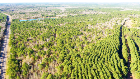East Texas Recreational & Hunting Land with Lake - image 39