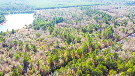 East Texas Recreational & Hunting Land with Lake - image 42