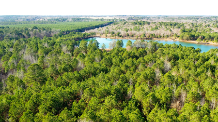 East Texas Recreational & Hunting Land with Lake - image 38