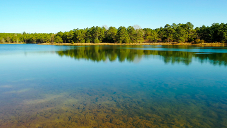 East Texas Recreational & Hunting Land with Lake - image 16