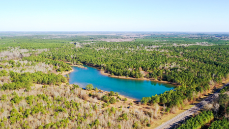 East Texas Recreational & Hunting Land with Lake - image 45