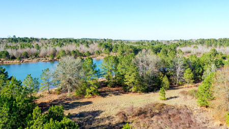East Texas Recreational & Hunting Land with Lake - image 32