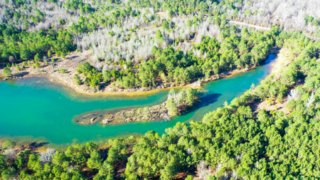 East Texas Recreational & Hunting Land with Lake - image 23