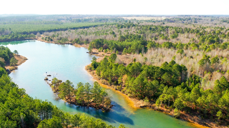 East Texas Recreational & Hunting Land with Lake - image 20