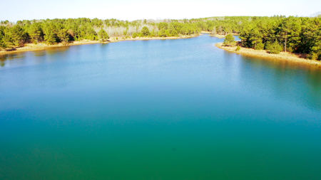 East Texas Recreational & Hunting Land with Lake - image 29