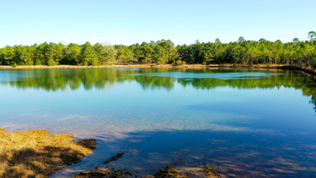East Texas Recreational & Hunting Land with Lake - image 15
