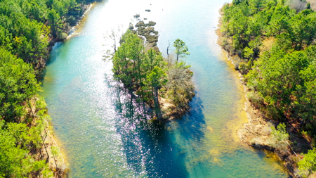 East Texas Recreational & Hunting Land with Lake - image 12
