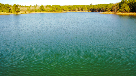 East Texas Recreational & Hunting Land with Lake - image 17