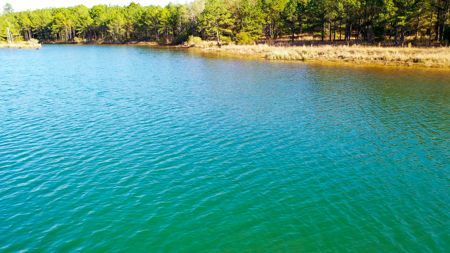 East Texas Recreational & Hunting Land with Lake - image 18