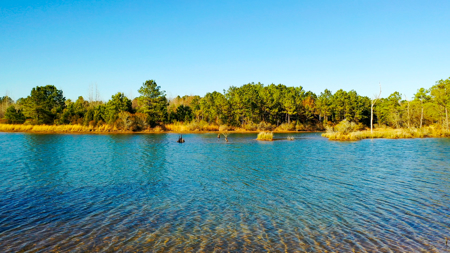 East Texas Recreational & Hunting Land with Lake - image 4
