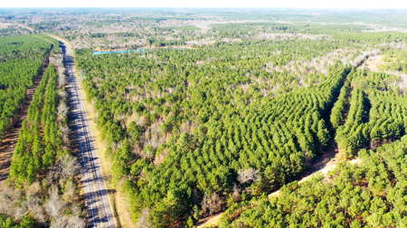 East Texas Recreational & Hunting Land with Lake - image 40