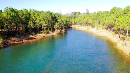 East Texas Recreational & Hunting Land with Lake - image 31
