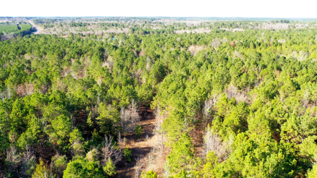 East Texas Recreational & Hunting Land with Lake - image 41
