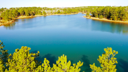 East Texas Recreational & Hunting Land with Lake - image 27