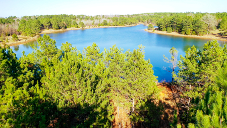 East Texas Recreational & Hunting Land with Lake - image 28