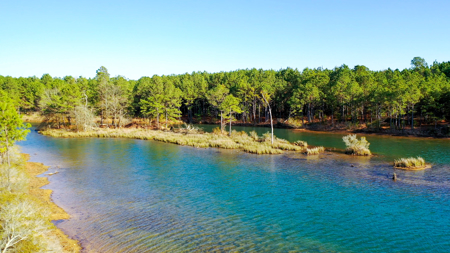 East Texas Recreational & Hunting Land with Lake - image 19