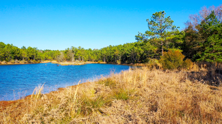 East Texas Recreational & Hunting Land with Lake - image 3