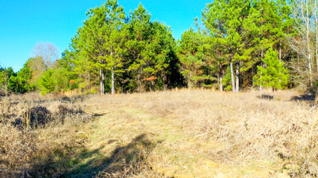 East Texas Recreational & Hunting Land with Lake - image 7