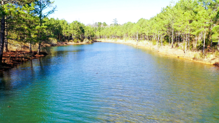 East Texas Recreational & Hunting Land with Lake - image 30