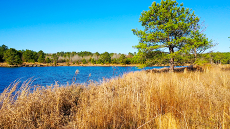 East Texas Recreational & Hunting Land with Lake - image 2