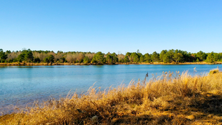 East Texas Recreational & Hunting Land with Lake - image 8