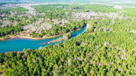 East Texas Recreational & Hunting Land with Lake - image 26
