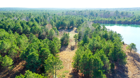 East Texas Recreational & Hunting Land with Lake - image 10
