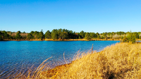 East Texas Recreational & Hunting Land with Lake - image 1