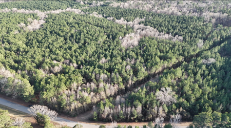 40 Acres For Sale in Choudrant, Louisiana - image 2