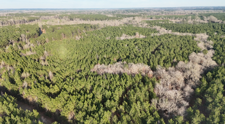 40 Acres For Sale in Choudrant, Louisiana - image 5