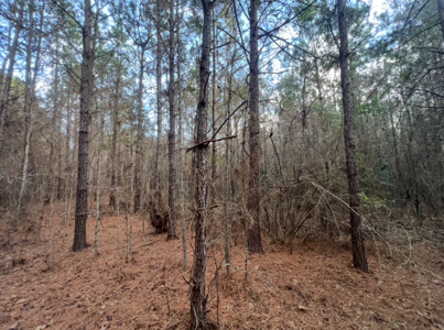 40 Acres For Sale in Choudrant, Louisiana - image 20