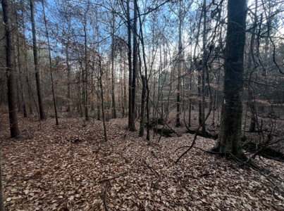 40 Acres For Sale in Choudrant, Louisiana - image 12