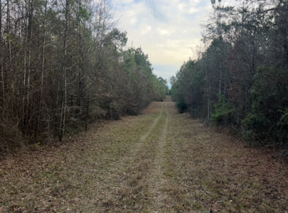 40 Acres For Sale in Choudrant, Louisiana - image 21