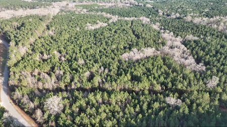 40 Acres For Sale in Choudrant, Louisiana - image 3